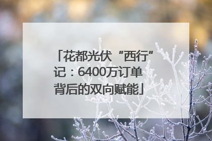 花都光伏“西行”记：6400万订单背后的双向赋能